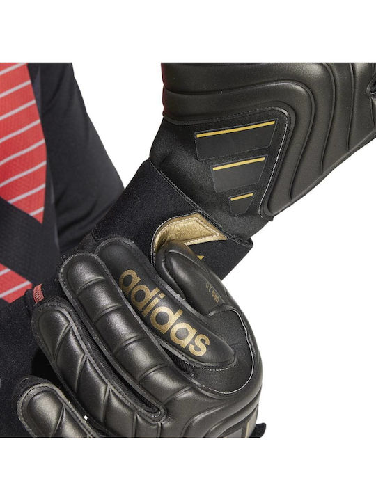 adidas Copa Pro Γάντια Τερματοφύλακα Ενηλίκων Μαύρα