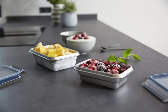 Tefal Inox Lunch Box Masterseal Gray 800ml
