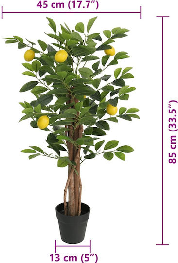 Zitronenbaum im Freien 85cm vidaXL