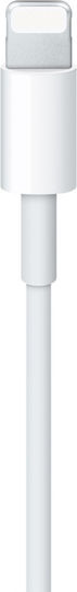 Regular USB-A la Cablu Lightning Alb 3m (CO2-0150)