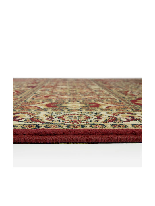 Viokarpet 6809/1018 Rug Rectangular with Fringes Red