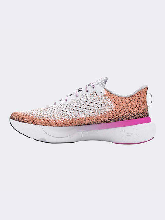 Under Armour Sport Shoes Running Multicolour
