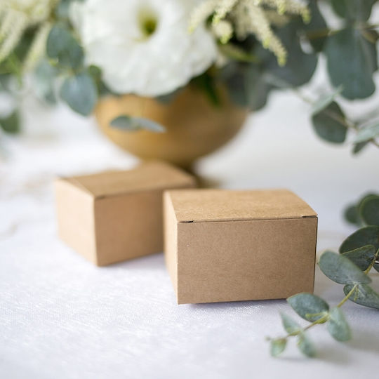 PartyDeco Сет 10 Хартиени Кутии Крафт