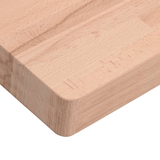 vidaXL Waschtisch ohne Waschbecken L60xB60xH4cm Beech