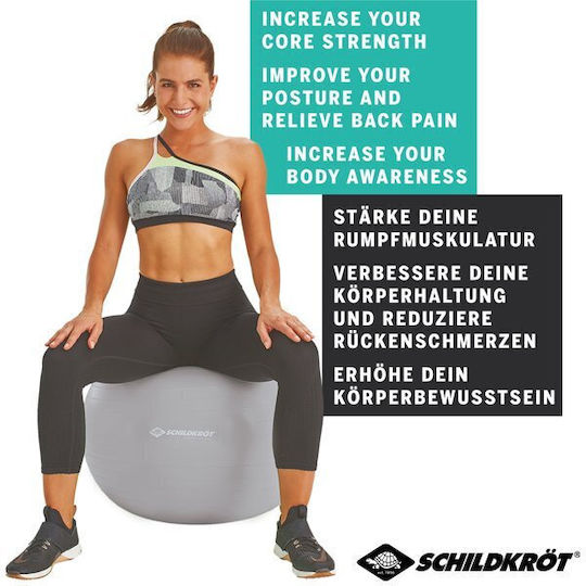 Schildkrot Ball Pilates 55cm in Silber Farbe