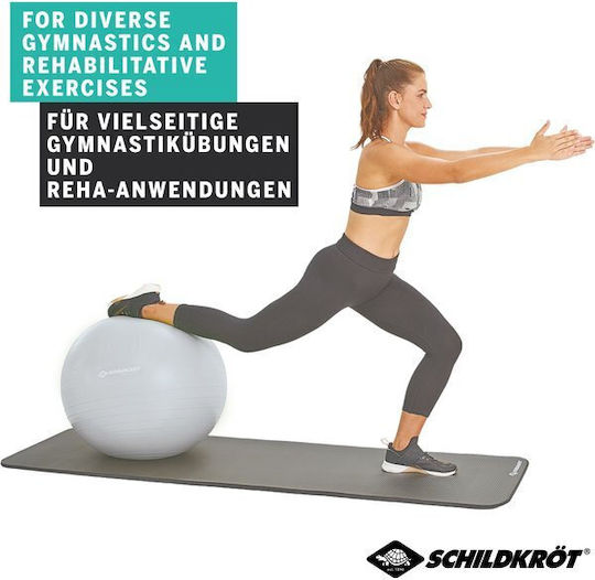 Schildkrot Ball Pilates 55cm in Silber Farbe