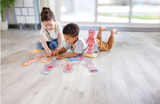Hape Human Body Εκπαιδευτικό Παιχνίδι Γνώσεων από Ξύλο για 3-6 Ετών
