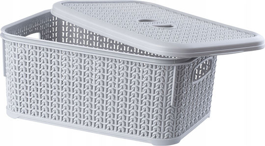 Kadax Plastic Cutie de Depozitare cu Capac Gri 6lt 1buc