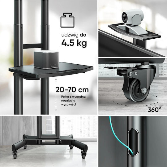 Onkron TV Mount Floor up to 70" and 45kg Black