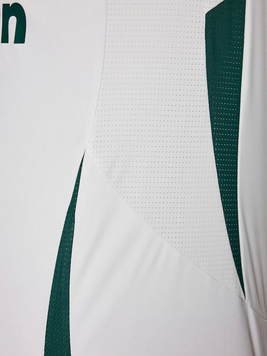 Panathinaikos 202425 Away Jersey Jersey Style Football
