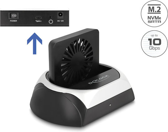 DeLock Docking Station Σκληρών Δίσκων PCIe/SATA 2.5" / 3.5" με σύνδεση USB-C (64280)