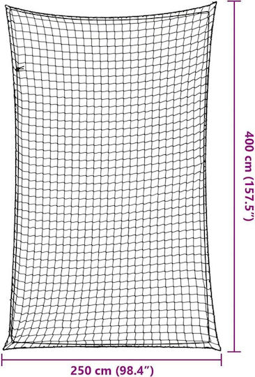 vidaXL Δίχτυ Αποσκευών Αυτοκινήτου 250x250cm Μαύρο