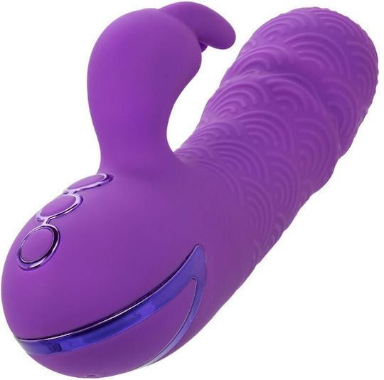 Calexotics Manhattan Beach Marvel Vibrator Rabbit Purple By California Dreaming Κωδικός Προϊόντος D-239981