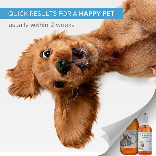Institut Katharos Dog Mouth Wash 300ml