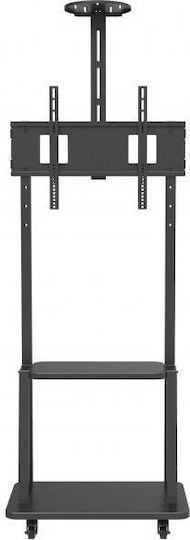 Techly ICA-TR33 Βάση Τηλεόρασης Δαπέδου έως 70" και 50kg