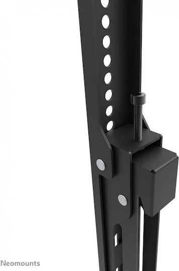 Neomounts WL30S-950BL19 Wandhalterung für Fernseher bis 110" und 160kg