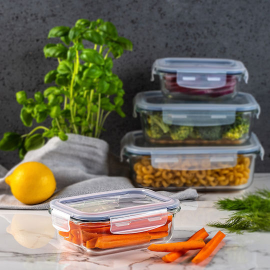 Kadax Lunchbox Glas Transparent 640ml 1Stück