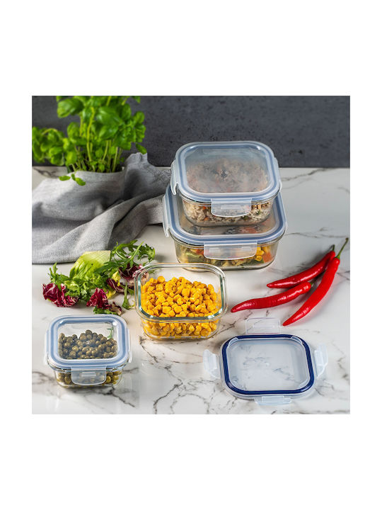 Kadax Glass Lunch Box Transparent 320ml