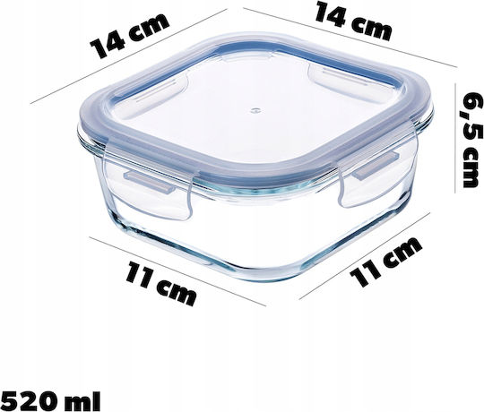 Kadax Glass Lunch Box Transparent 520ml