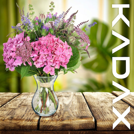 Kadax Glas aus Glas