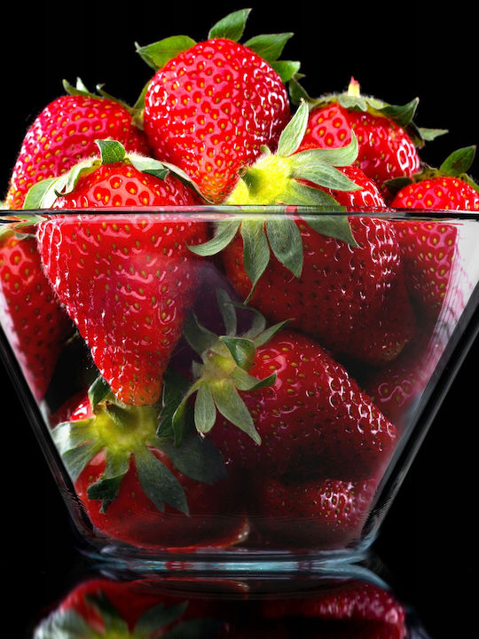 Kadax Glass Salad Bowl Transparent 2pcs