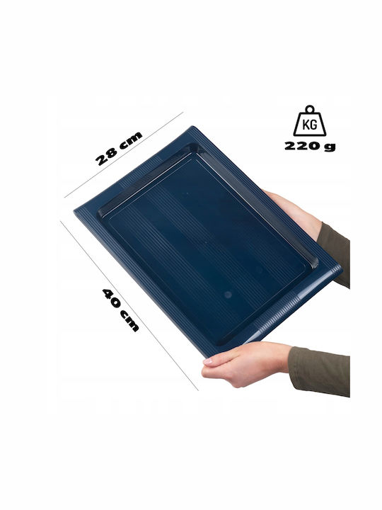 Kadax Πλαστικός Δίσκος Σερβιρίσματος 40x28cm