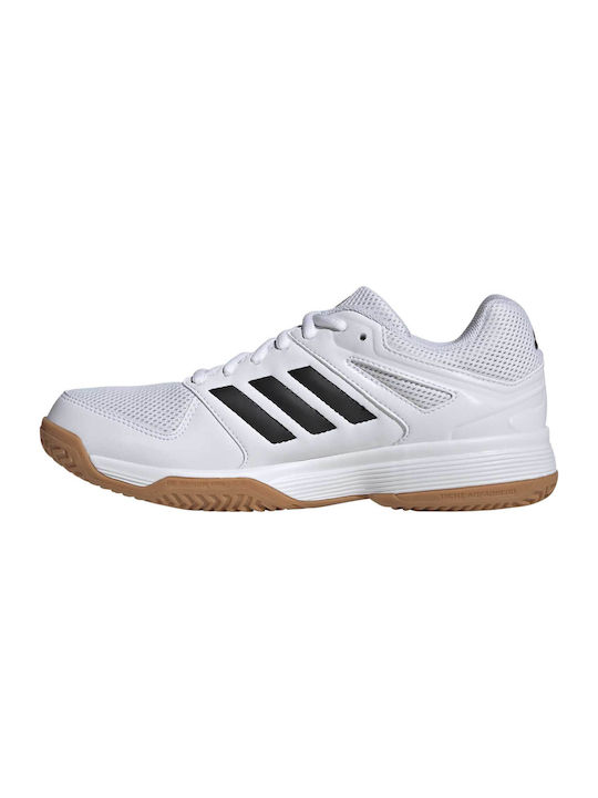 Speedcourt Sport Shoes Volleyball White