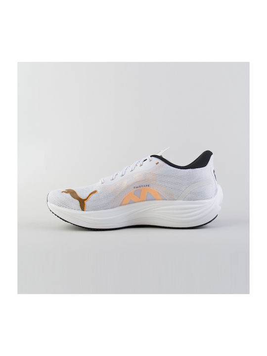 Velocity Nitro 3 Sport Shoes Running White - Orange