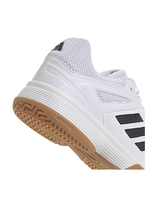 Speedcourt Sport Shoes Volleyball White