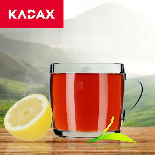 Kadax Κούπα Γυάλινη Διάφανη 310ml 5903699437186