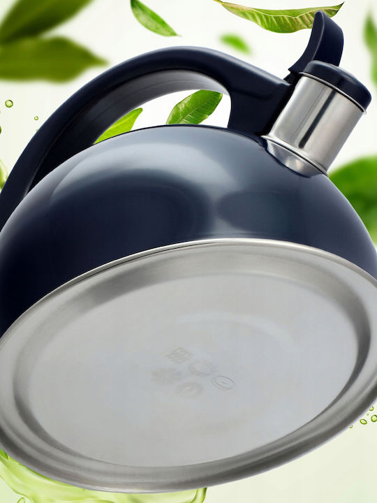 Kadax Teapot Stainless Steel Blue 1700ml