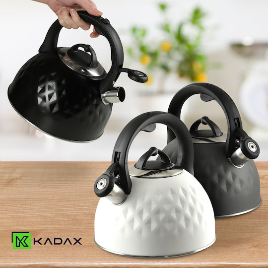 Kadax Teekanne Rostfreier Stahl Schwarz 2500ml