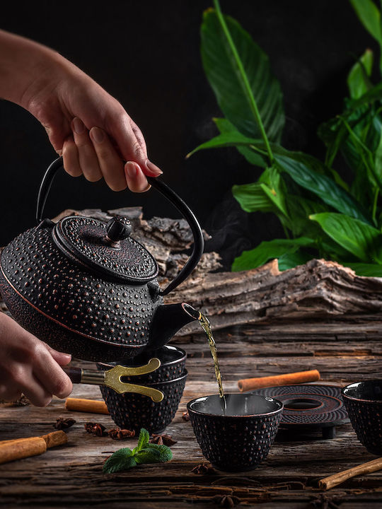 Kadax Ceainic Cu Cană Din Fontă Negru 800ml