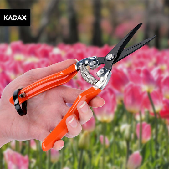 Kadax Ψαλίδι Τρύγου Μήκους 19cm