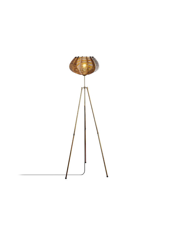 Floor Lamp H160cm. with Socket for Bulb E27 Gold