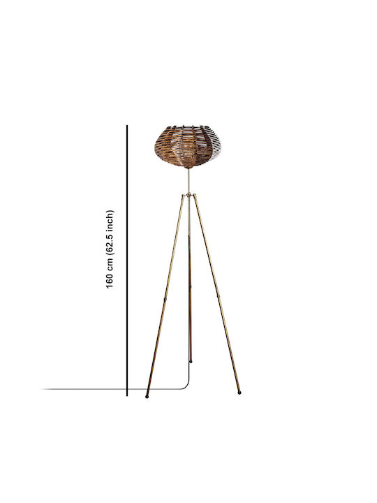 Ellipse Floor Lamp H160xW35cm. with Socket for Bulb E27 Gold