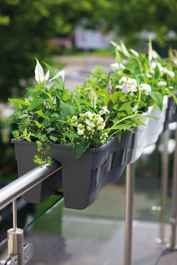 Wave 60 Balcony Pot Railing Box