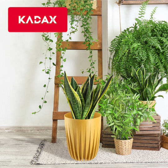 Kadax Ghiveci Plastic 30x30cm.