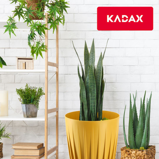 Kadax Саксия Пластмаса 14.5x14.5см.