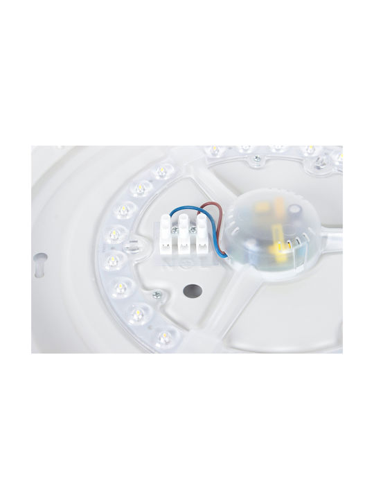 Greenie Deckenleuchte Beige mit Integrierter LED