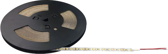 Greenie LED Strip 12V Warm White Light 25m Type SMD2835