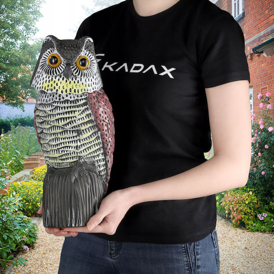 Kadax Отблъскващо примамливо Птици