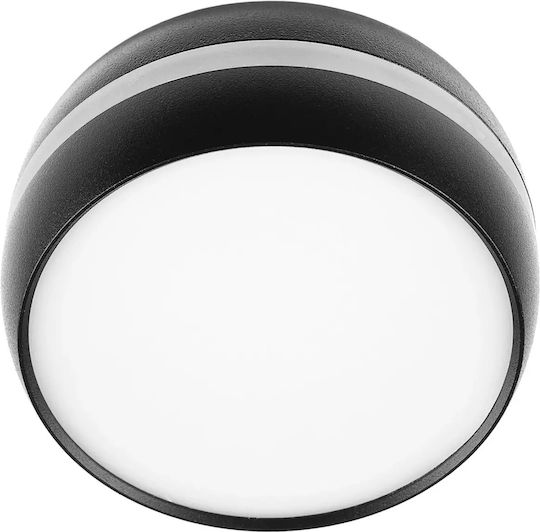Monos LED Spot în Culoare Negru