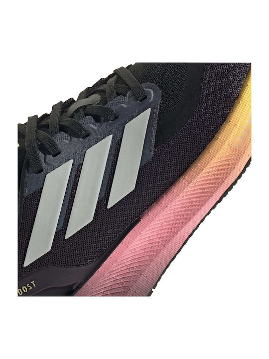 Pureboost 5 Sport Shoes Running Purple