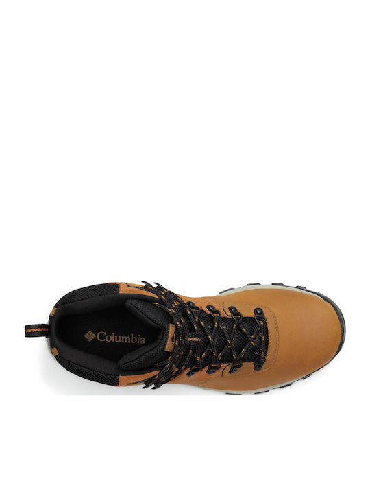 Columbia Newton Ridge Plus Ii Men's Hiking Boots Waterproof Brown