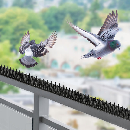 Kadax Spițe de Repulsie Păsări / Pisici / Rozătoare 10x10m