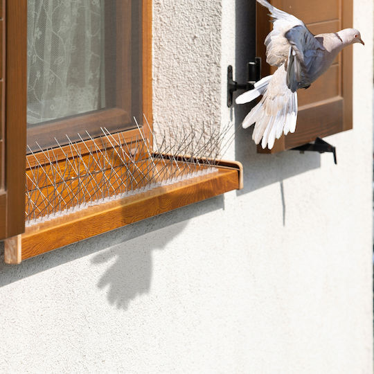 Kadax Abwehrspitzen Vögel / Katzen