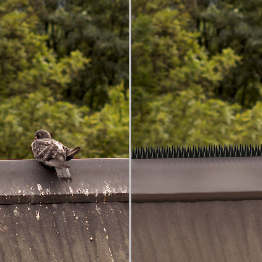 Kadax Spițe de Repulsie Păsări / Pisici / Rozătoare 10x10m