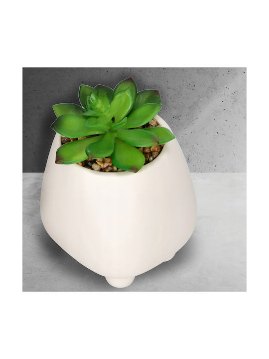 Plantă Artificială în Ghiveci Mic Planta suculentă White 10.5cm Kadax