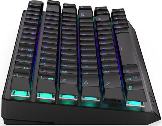 Endorfy Thock Wireless Gaming Mechanical Keyboard 75% with Kailh Box Red switches and RGB lighting (English US)